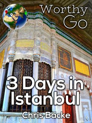 Book cover of 3 Days in Istanbul