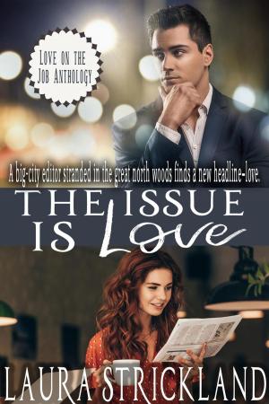 Cover of the book The Issue is Love by JD Corbett