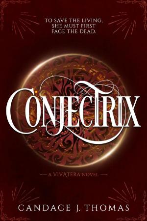 Cover of the book Conjectrix by L. E. Erickson