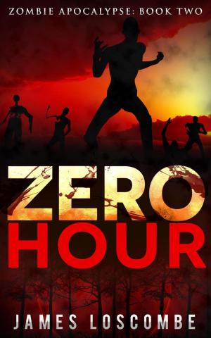 Book cover of Zero Hour