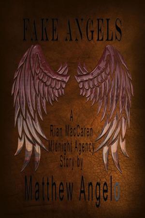 Cover of the book Fake Angels by Stephanie Amox