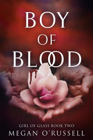 Cover of the book Boy of Blood by A.R. Von