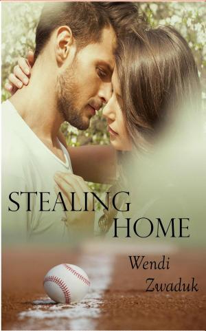 Cover of the book Stealing Home by S. Randy