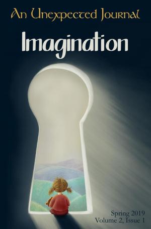 Book cover of An Unexpected Journal: Imagination