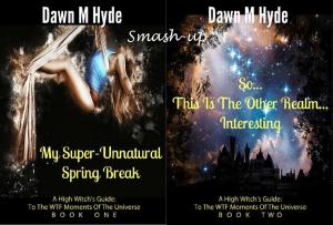 Cover of the book A High Witch's Guide Smashup by Dawn M Hyde