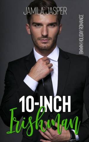 Book cover of 10-Inch Irishman