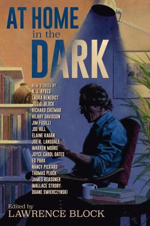 Cover of the book At Home in the Dark by Andrew Barrett