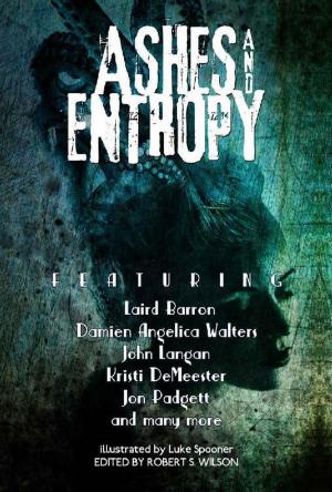 Cover of the book Ashes and Entropy by Sarah Daglish