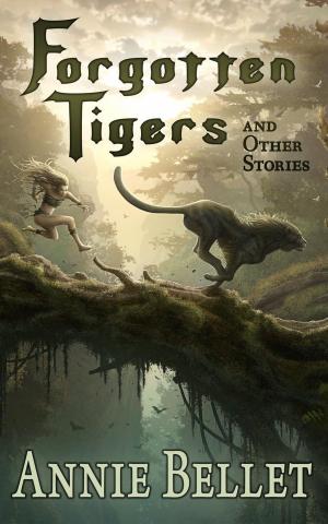 Cover of the book Forgotten Tigers and Other Stories by David Steffen
