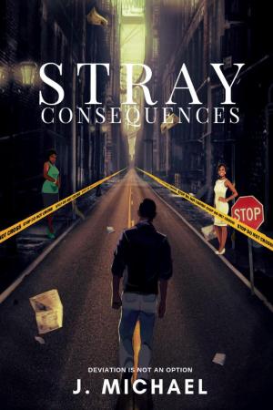Cover of the book Stray Consequences by Michael Hurd