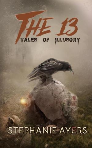 Book cover of The 13: Tales of Illusory