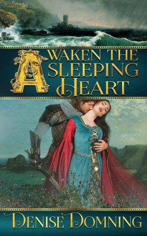 Cover of the book Awaken the Sleeping Heart by Jill Barnett