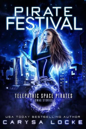Book cover of Pirate Festival
