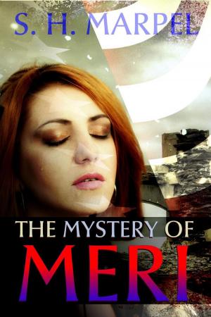 Cover of the book The Mystery of Meri by C. C. Brower, S. H. Marpel