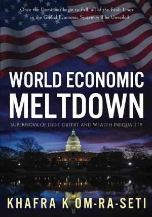 Cover of World Economic Meltdown: Supernova of Debt, Credit and Wealth Inequality