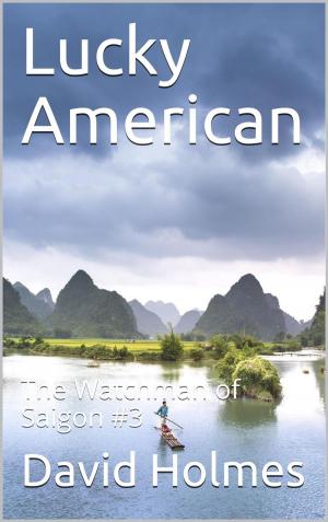 Cover of the book Lucky American by Simone van der Vlugt