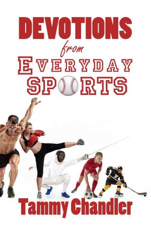 Book cover of Devotions from Everyday Sports