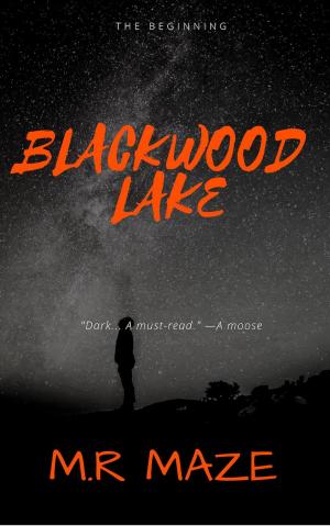 Book cover of Blackwood Lake