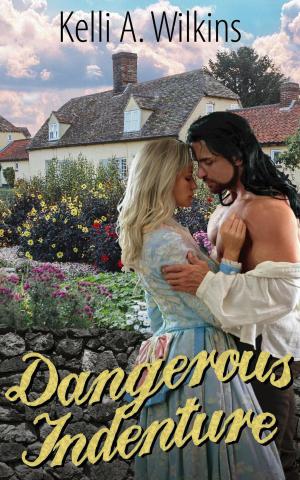 Cover of the book Dangerous Indenture by Kelli A. Wilkins