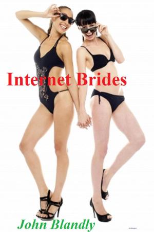 Cover of the book Internet Brides by Pantson Fire