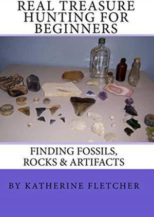 Book cover of Real Treasure Hunting for Beginners