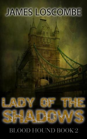 Cover of the book Lady of the Shadows by Van Holt