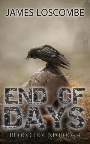 Cover of the book End of Days by Romain Rolland