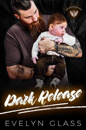Cover of the book Dark Release by Amanda Brenner