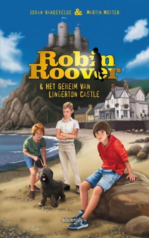Cover of the book Robin Roover en het geheim van Lingerton Castle by Frank Pollet