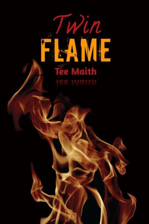 Cover of the book Twin Flame by Kina Miratu, Naoko Aino