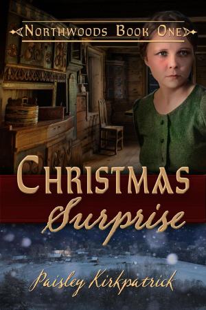 Cover of the book Christmas Surprise by Willa Blair