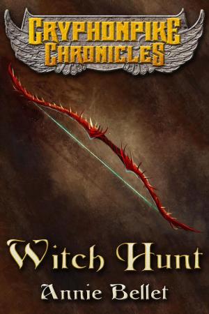 Cover of the book Witch Hunt by Christopher Bradshaw