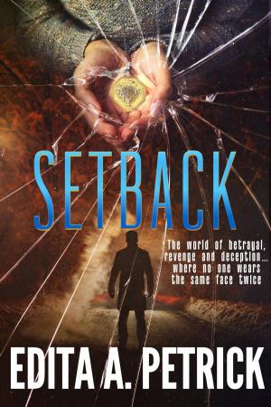 Cover of the book Setback by Edita A. Petrick