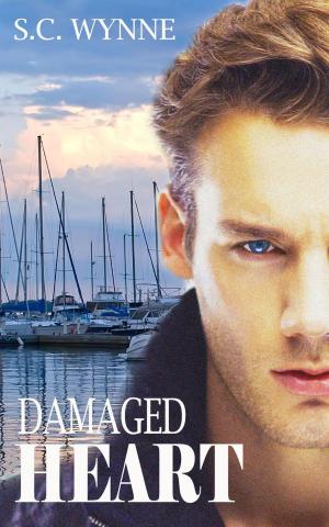 Cover of Damaged Heart