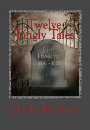 Cover of the book Twelve Tingly Tales by Stephen Cote