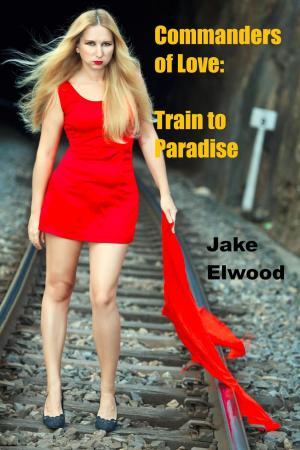 Cover of the book The Train to Paradise by Shannon Lee Martin