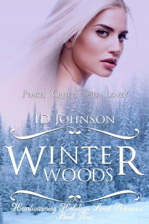 Cover of the book Winter Woods by Lauren Blakely