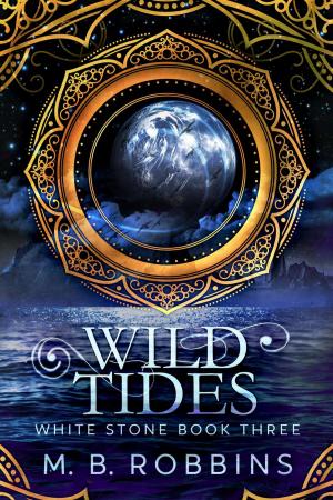 Book cover of Wild Tides