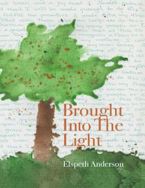 Cover of the book Brought Into the Light by Chris Morningforest, Rebecca Raymond