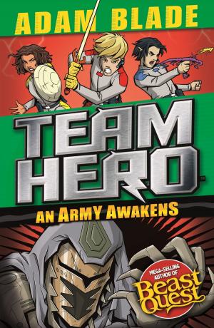 Cover of the book An Army Awakens by Oisin Mcgann
