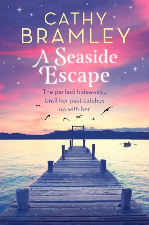 bigCover of the book A Seaside Escape by 
