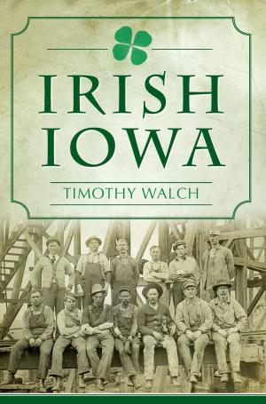 Cover of the book Irish Iowa by Marta V. Martínez