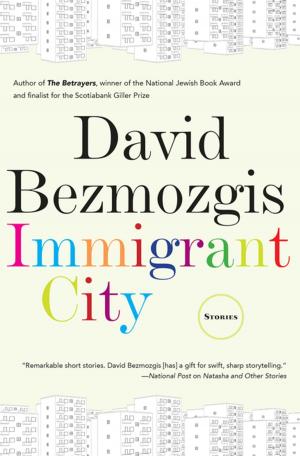 Cover of the book Immigrant City by Anthony Sampson