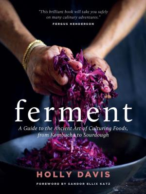 Cover of the book Ferment by Jen Hansard, Jadah Sellner