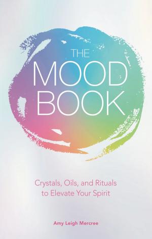 Book cover of The Mood Book