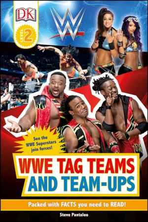 Cover of the book WWE Tag-Teams and Team-Ups by John Stein, Motorcyclist Magazine