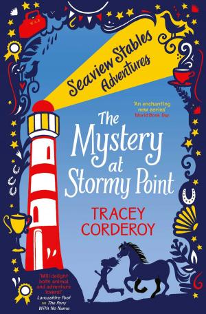 Cover of the book The Mystery at Stormy Point by Holly Hepburn