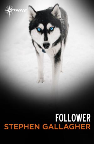 bigCover of the book Follower by 