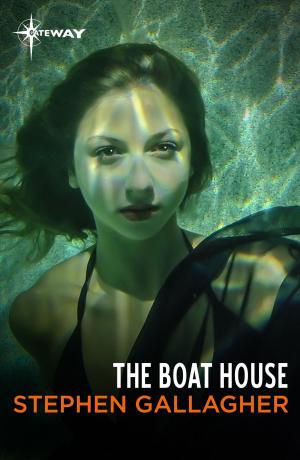 Cover of the book The Boat House by Phyllis Irene Radford