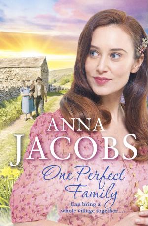 Cover of the book One Perfect Family by Tracey Cox